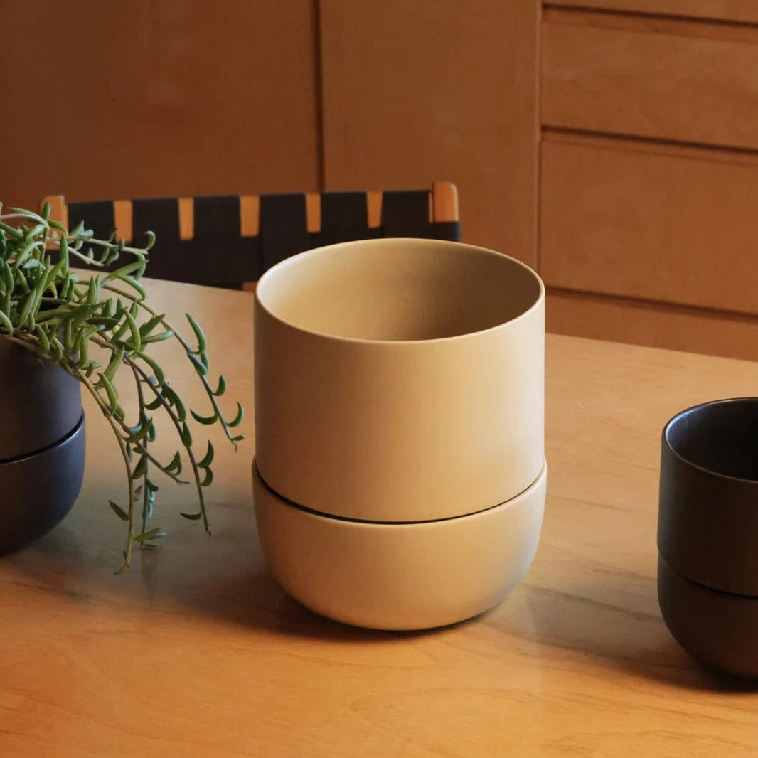 Zenvira Artisan Ceramic Planter with Drainage and Tray, perfect for stylish indoor plant display