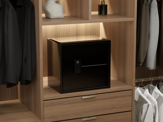 Zenvira Home Plus Biometric Safe